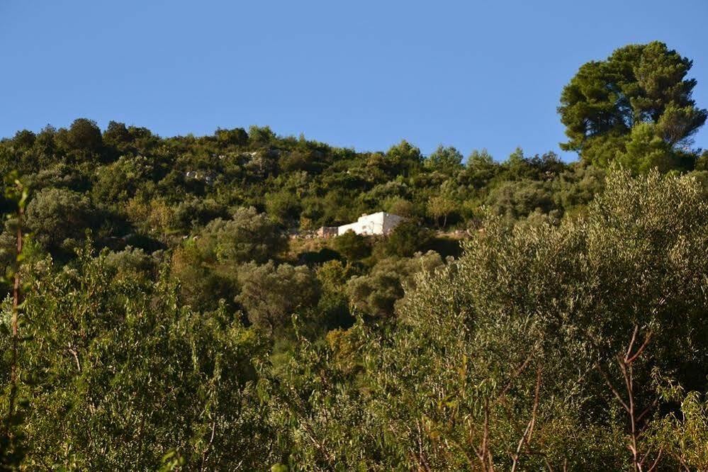 La Lamia 1864 By Rentbeat Appartement Ostuni Buitenkant foto